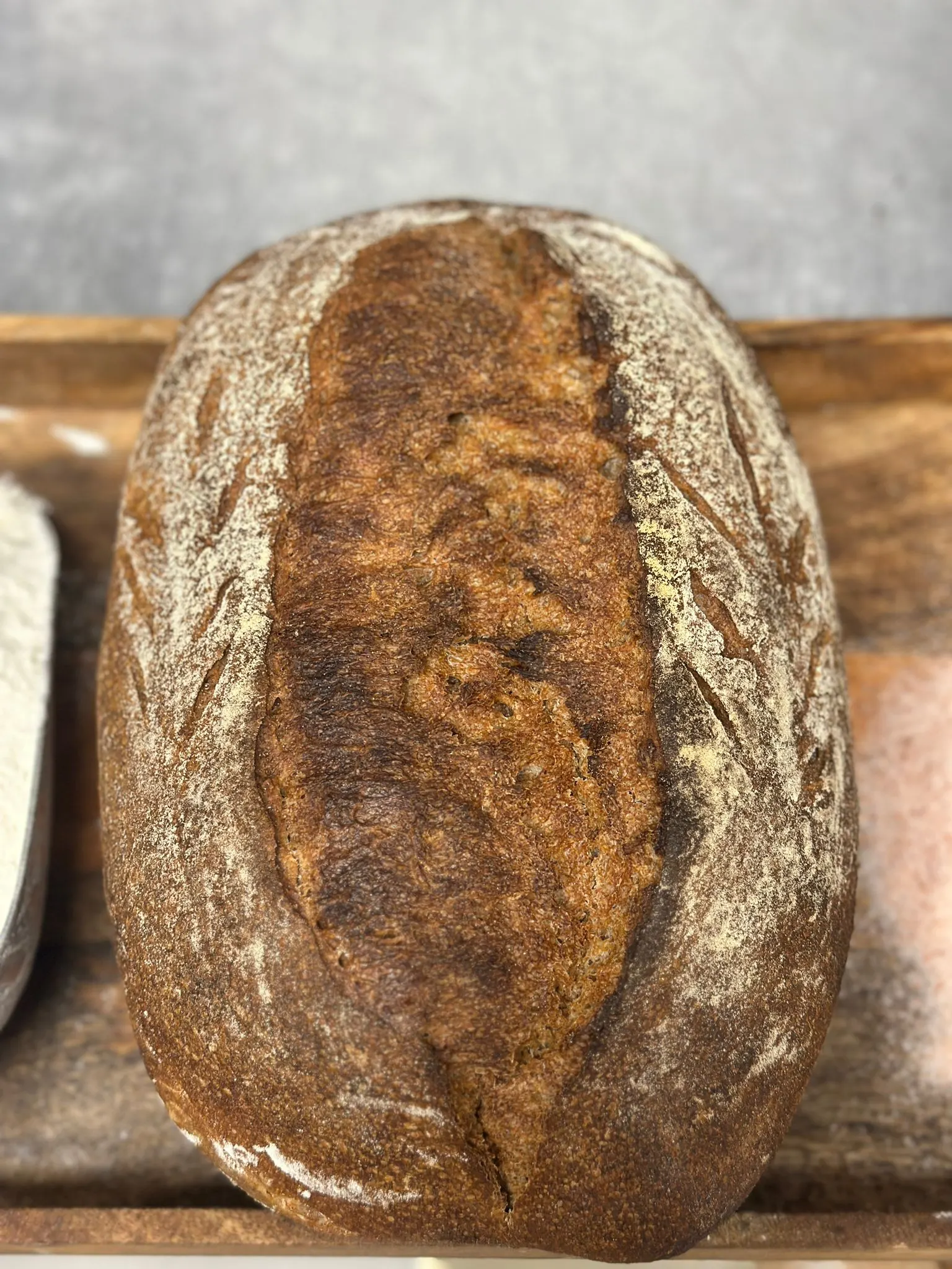 Zdjęcie produktu: Orkisz pełnoziarnisty