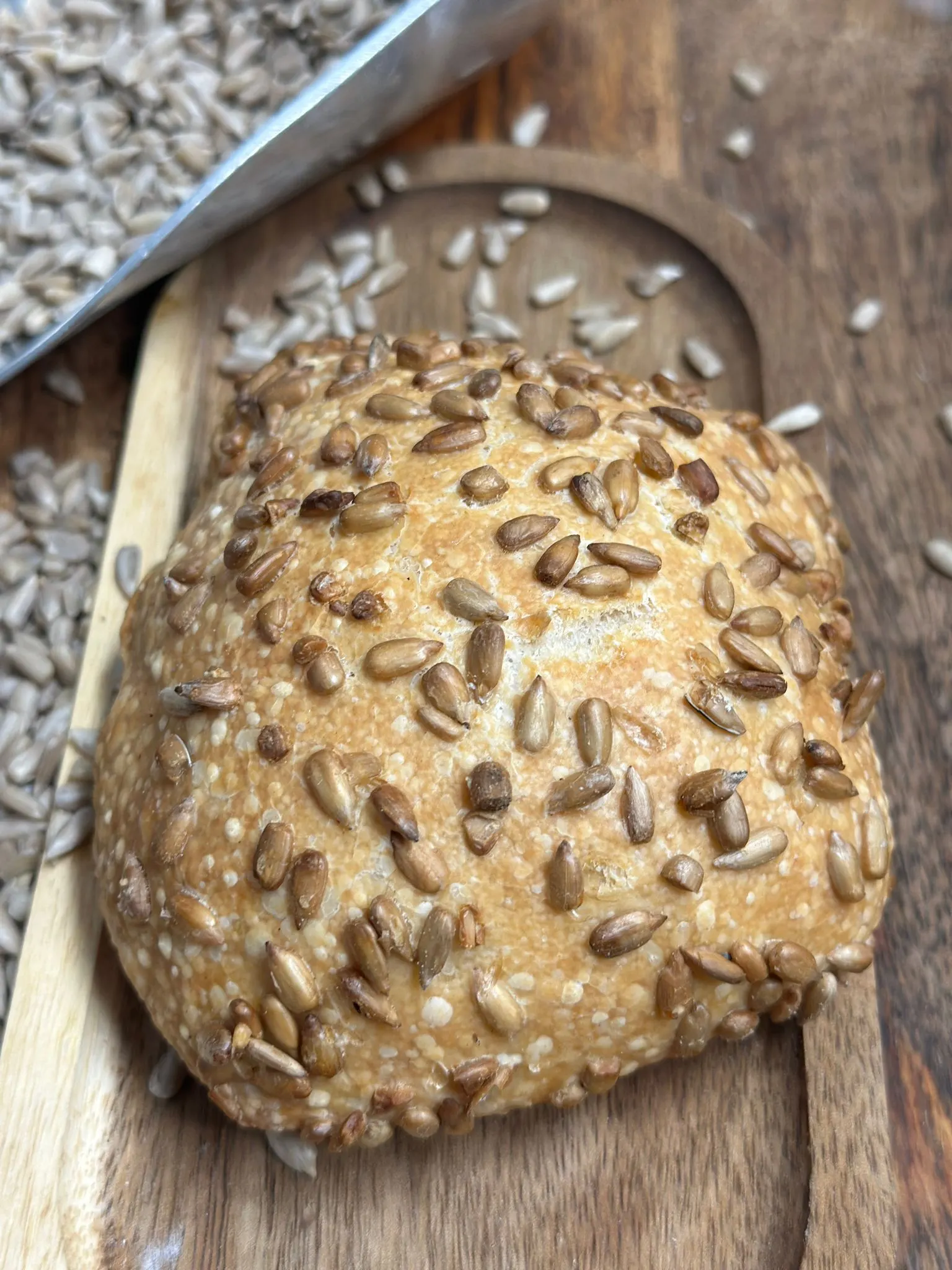 Zdjęcie produktu: RUSTI słonecznik